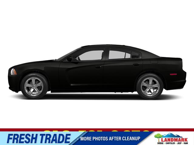 2014 Dodge Charger R/T Max RWD